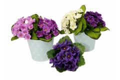 096 veštačko cveće buketi